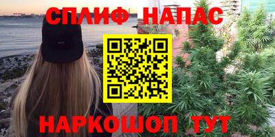 прущие грибы Дубна